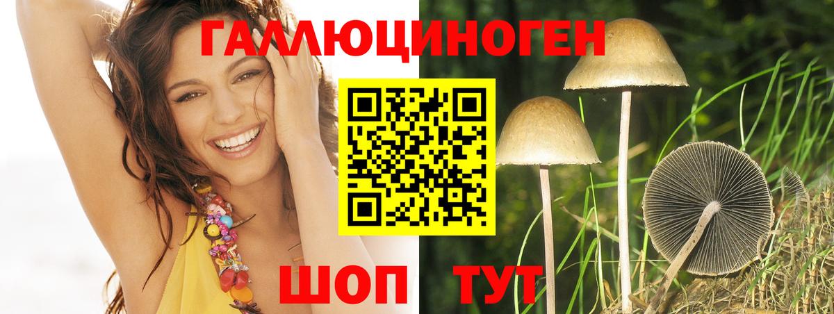 Псилоцибиновые грибы Cubensis  Вход с VPN  Серов  Псилоцибиновые грибы мицелий 